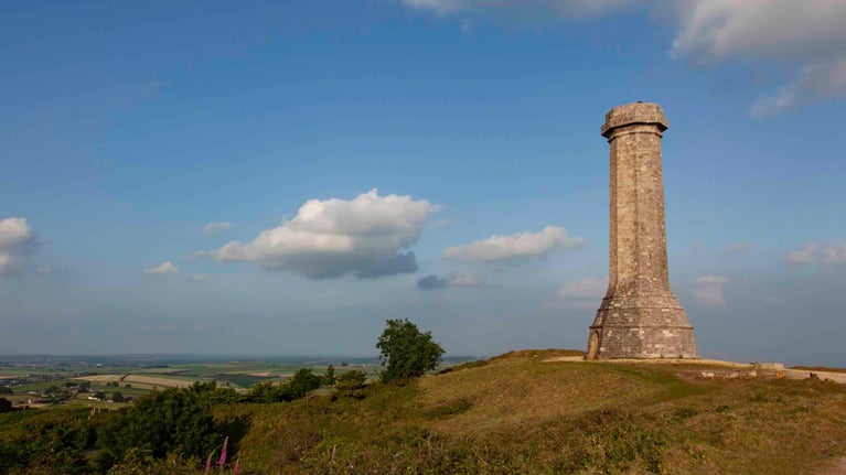 View of surrounding countryside at the Hardy Monument, Dorset